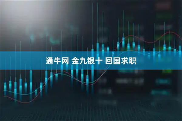 通牛网 金九银十 回国求职