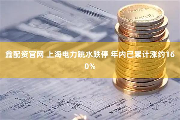 鑫配资官网 上海电力跳水跌停 年内已累计涨约160%