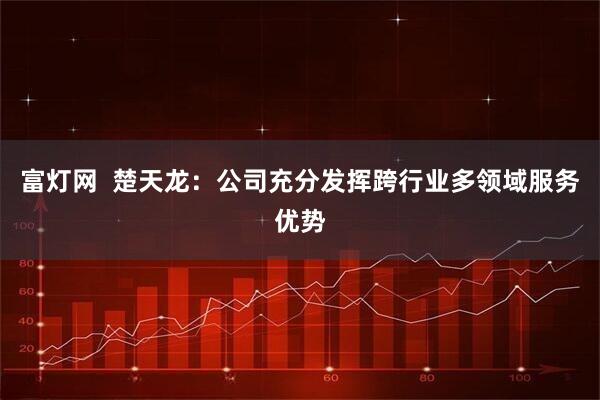 富灯网  楚天龙：公司充分发挥跨行业多领域服务优势