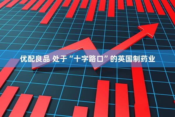 优配良品 处于“十字路口”的英国制药业