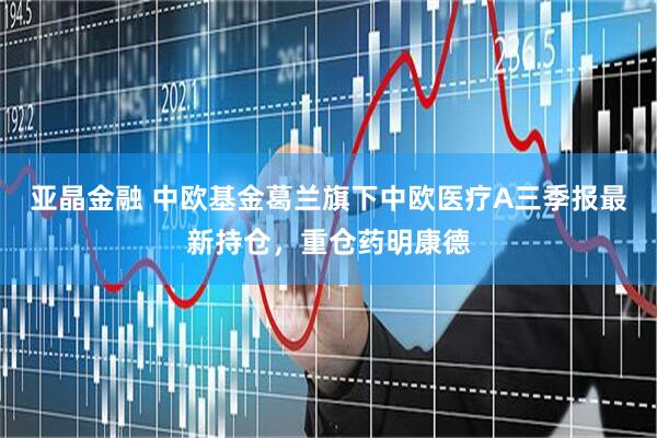 亚晶金融 中欧基金葛兰旗下中欧医疗A三季报最新持仓，重仓药明康德